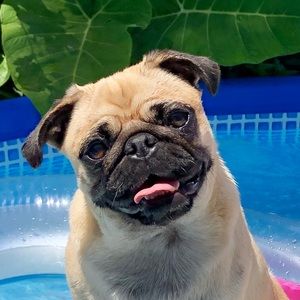 Meet your Posher, Brian